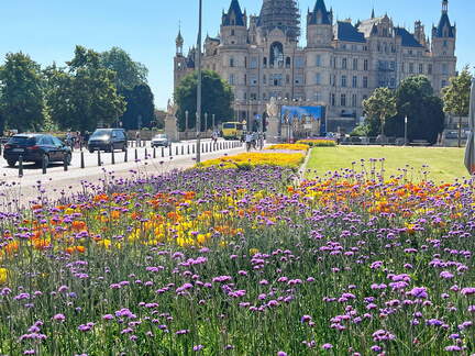 24-06-26 10-24-21 9910